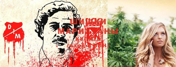каннабис Аркадак