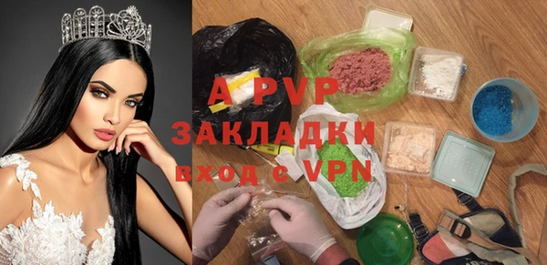 прущие грибы Щигры