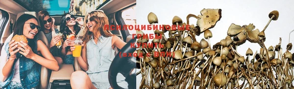 стафф Балахна