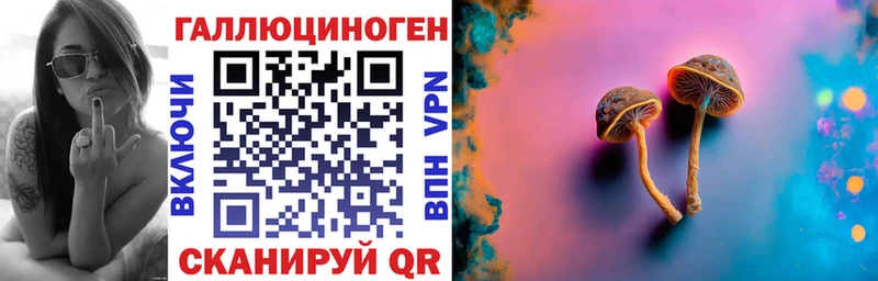 OMG ТОР  цена наркотик  Болохово  Галлюциногенные грибы Cubensis 